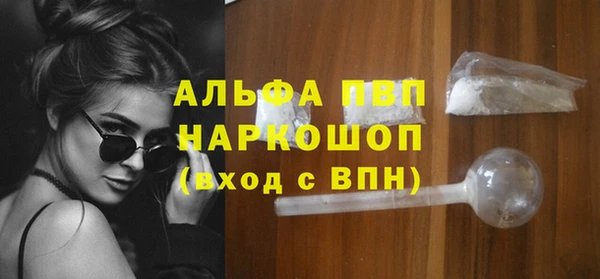 ПСИЛОЦИБИНОВЫЕ ГРИБЫ Инсар