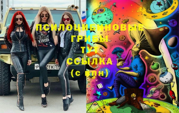гидропоника Иннополис