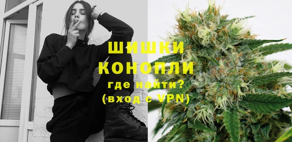 ПСИЛОЦИБИНОВЫЕ ГРИБЫ Инсар