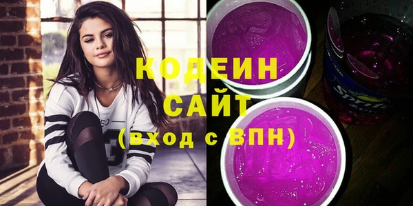 apvp Каменка