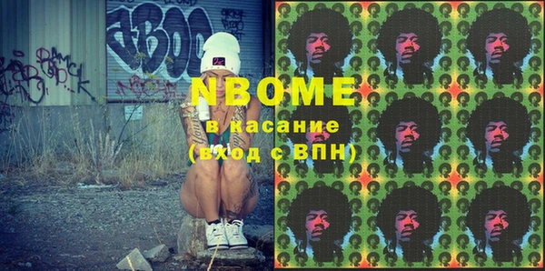 ПСИЛОЦИБИНОВЫЕ ГРИБЫ Инсар
