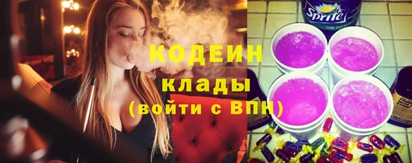 ПСИЛОЦИБИНОВЫЕ ГРИБЫ Инсар