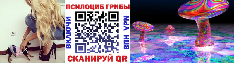 Купить закладки  Мурманск  Псилоцибиновые грибы прущие грибы 